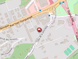 Carte de Morin Jacques à Bougival