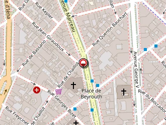 Carte de Peronnet Virginie à Paris