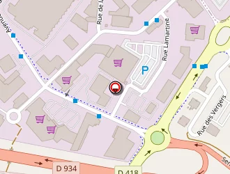 Carte de La Criée à Saint-thibault-des-vignes