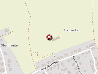 Carte de Driesslein Jennifer à Drulingen