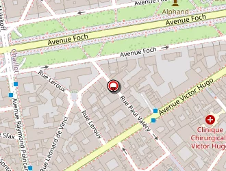 Carte de Ambassade Du Liban à Paris