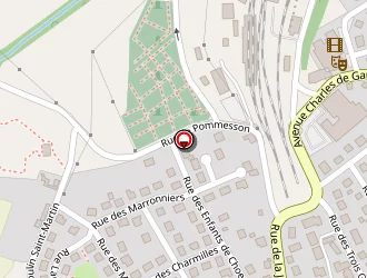 Carte de Patin Patrick à Montmirail