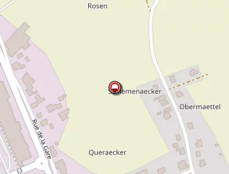 Carte de Toussaint Marie-madeleine à Drulingen