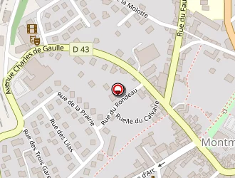 Carte de Bibliotheque à Montmirail