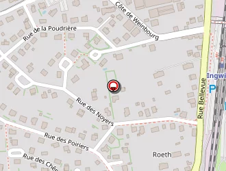 Carte de Kuhn Willy à Ingwiller