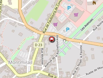 Carte de Regnault Autocars à Montmirail