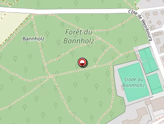 Carte de Distri Conseils à Ingwiller