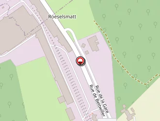 Carte de Restaurant De La Gare à Drulingen