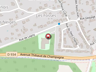 Carte de Mica International à Chessy