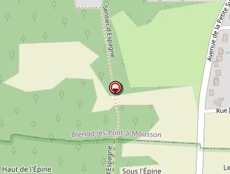 Carte de Grenu David à Jezainville