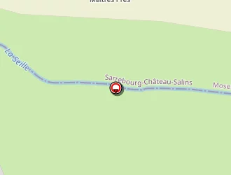 Carte de Cevad à Létricourt