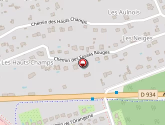 Carte de Yon Jérôme à Chessy