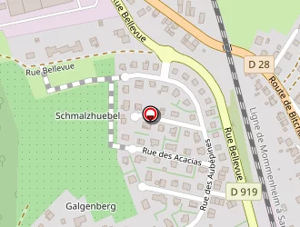 Carte de Ruch Stéphanie à Ingwiller