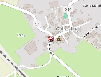 Carte de Ecole Maternelle à Guinzeling