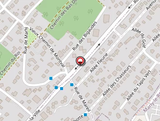 Carte de Fmj à Mareil-marly