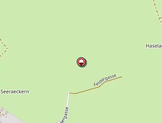 Carte de Brion Jean-jacques à Diedendorf