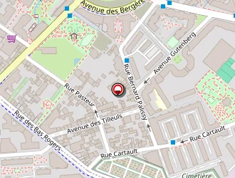 Carte de Buyens Stephane à Puteaux