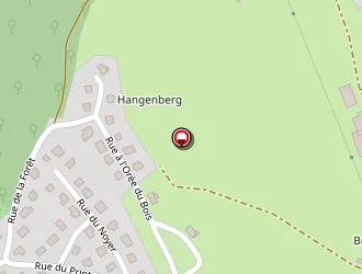 Carte de Loeffler Yvonne à Bettwiller