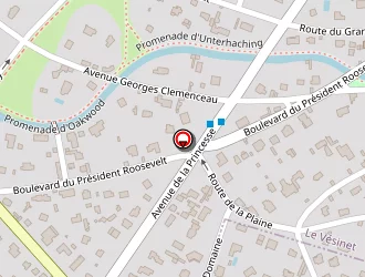 Carte de Optique Coloos Valverde à Vésinet (le)