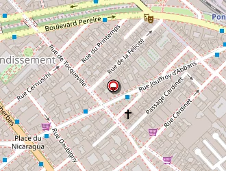 Carte de Plizz à Paris