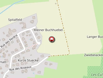 Carte de Mairie à Walbourg