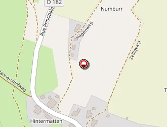 Carte de Phenixat à Bettwiller