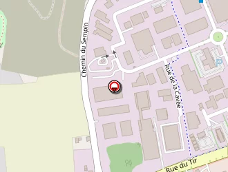 Carte de Devins Patricia à Chelles