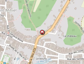 Carte de Institut Sandrine à Saint-mihiel