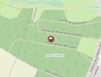 Carte de Masset Cédric à Coupvray