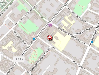 Carte de Rodrigues Iolanda à Noisy-le-sec