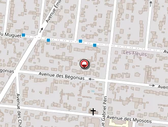 Carte de Georgeaud Michel à Montfermeil