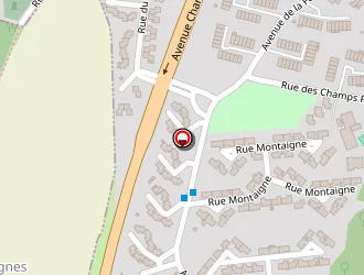 Carte de Taxi Michael à Esbly