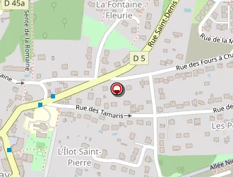 Carte de De Jesus Lucena Manuel à Coupvray