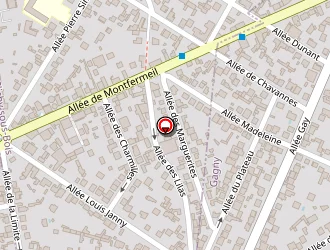 Carte de Chauffeur Prestige Adr à Gagny