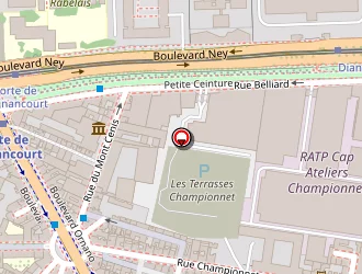 Carte de Mamoudou Samassi à Paris