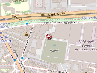 Carte de Ramamourthy Viswanathan à Paris