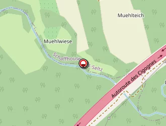 Carte de Waltz Robert à Seltz