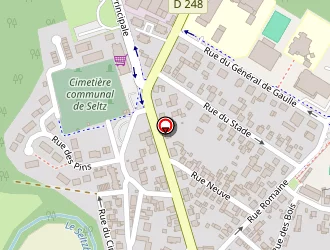 Carte de Speth Serge à Seltz