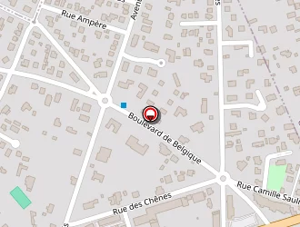 Carte de Top Modèle Toilettage à Vésinet (le)