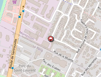 Carte de Geutebruck à Pecq (le)