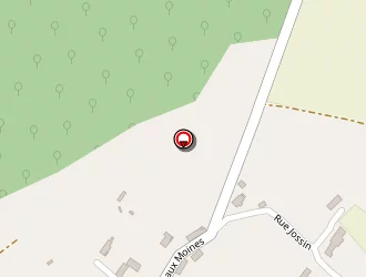 Carte de Oyance Daniel à Soulières