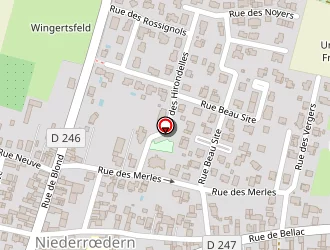 Carte de Ruscher Mathieu à Niederrœdern