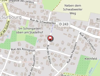 Carte de Jeg (sci ) à Surbourg