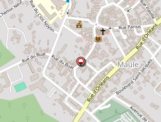 Carte de Placinta Ion à Maule