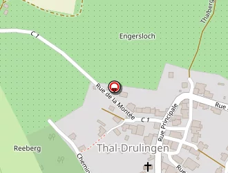 Carte de Urgence (services Locaux) à Thal-drulingen