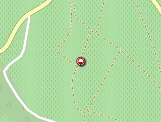 Carte de Champagne Thomas Frédéric à Vertus