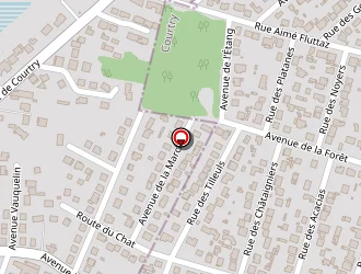 Carte de Moreau Florence à Courtry