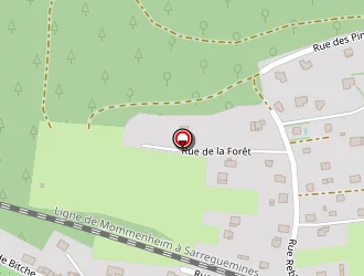 Carte de Bieber Raymond à Wimmenau