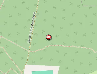 Carte de De San Elvis à Villevaudé