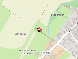 Carte de Zumstein Emmanuel à Buhl